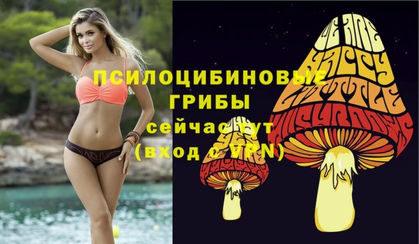 трава Армянск