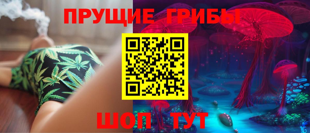 цены   Галлюциногенные грибы Psilocybe  Вход с VPN  Кировск  Галлюциногенные грибы прущие грибы 